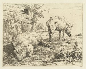 to villsvin av Karel Du Jardin