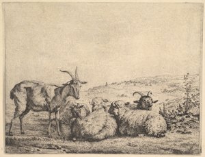 To geiter og tre sauer, 1655. av Karel Du Jardin