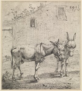  av Karel Dujardin
