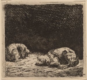 Hund og katt av Karel Dujardin