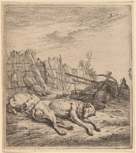 Jakthunder av Karel Dujardin
