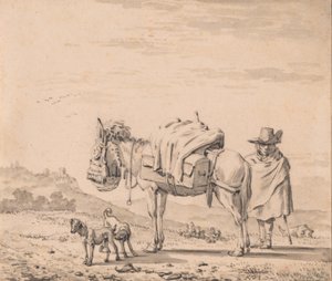  av Karel Dujardin