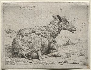 Sauene og fluene. av Karel Dujardin