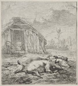 Tre svin som ligger foran en sti av Karel Dujardin