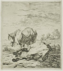 To hester av Karel Dujardin