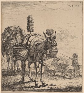 To muldyr av Karel Dujardin
