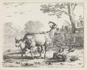  av Karel Dujardin