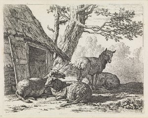  av Karel Dujardin