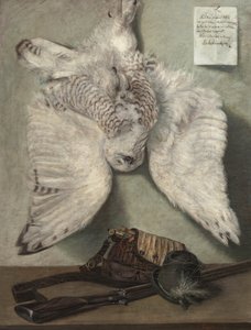  av Karel Purkyne