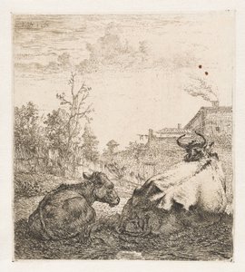 Liggende ku med kalv Dyr (serietittel) av Karel du Jardin (signed by artist)