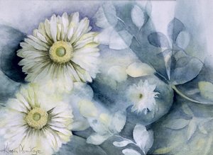 Gerbera Jamemura Bra av Karen Armitage
