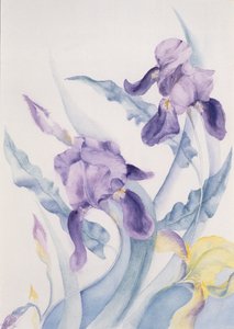 Iris, blå hoppe av Karen Armitage