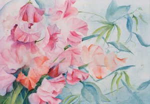 Lathyrus Odoratus, søt ert (horisontal) av Karen Armitage