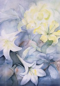 Lilium, Hearts Desire og Imperiale av Karen Armitage