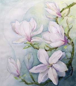Magnolia (wc) av Karen Armitage