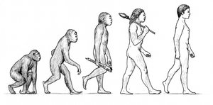 Evolusjon av mennesket