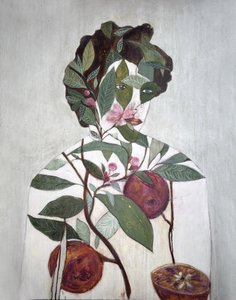 av Karenina Fabrizzi