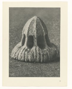 Plantestudier Arketyper av kunst: fotografiske bilder av planter (serietittel) av Karl Blossfeldt