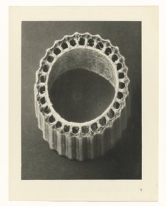 Plant Studies Archetypes of Art: Photographic Images of Plants (serietittel) av Karl Blossfeldt