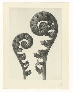 planlegge studie Archetypes of Art (serietittel)