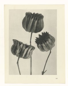planlegge studie Archetypes of Art (serietittel)