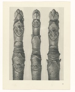Planstudie Urformen der Kunst (serietittel) av Karl Blossfeldt