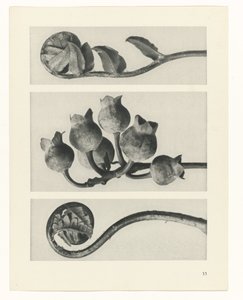 Planstudie Urformen der Kunst (serietittel)