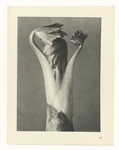 planlegge studie Archetypes of Art (serietittel)
