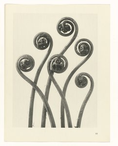 planlegge studie Archetypes of Art (serietittel)