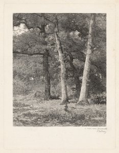 En skogrydding av Karl Bodmer