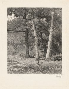  av Karl Bodmer