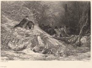 Le for frosten av Karl Bodmer