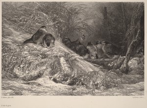  av Karl Bodmer
