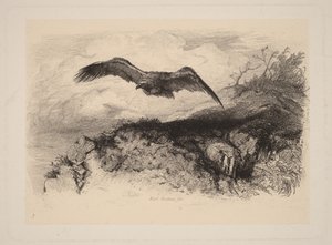  av Karl Bodmer