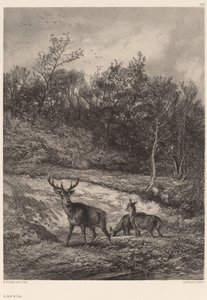 Ved vannkanten. av Karl Bodmer