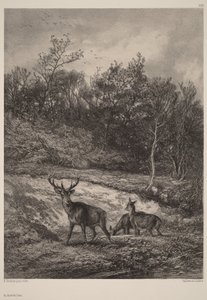  av Karl Bodmer