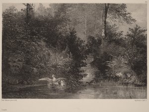 av Karl Bodmer