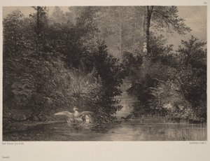  av Karl Bodmer