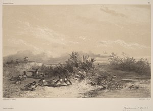  av Karl Bodmer