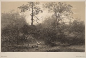  av Karl Bodmer