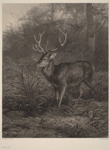  av Karl Bodmer