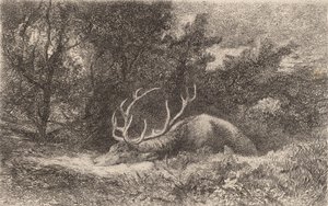 Cerf a la Reposee.    1142232   no       norwegian Successfully Translated  Original: Portret van kunstenaar Rosalba Carriera Portretten van kunstenaars (series title) Translat: Portret van kunstenaar Rosalba Carriera Portretten van kunstenaars (series tit av Karl Bodmer