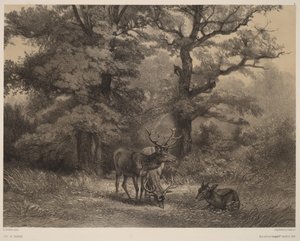  av Karl Bodmer