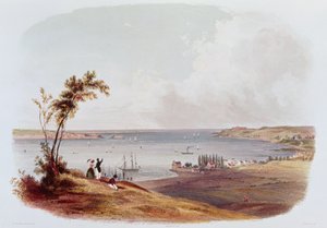 Inngang til Bay of New York, Staten Island, gravert av Salathe (farge litho) av Karl Bodmer