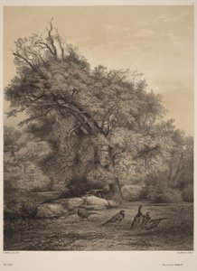  av Karl Bodmer