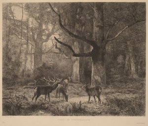  av Karl Bodmer