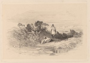 Hegre av Karl Bodmer