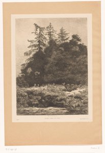 Hjort i utkanten av en skog Daims dans un parc (tittel på objekt) av Karl Bodmer