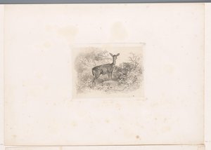 Hindu i skogen Landskap med dyr (serietittel) av Karl Bodmer
