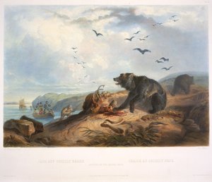 Jakt på Grizzlybjørnen